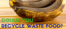 Recycle Waste Food