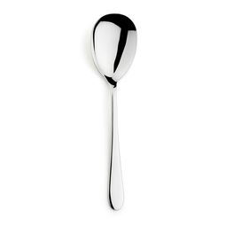 Elia Modern 18/10 Stainless Steel Serving Spoon