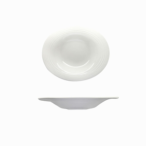 Artisan Crème Vitrified Fine China White Round Wide Rim Bowl 29cm