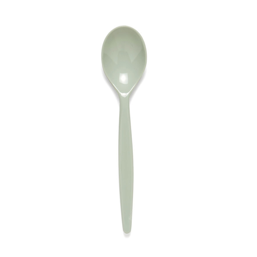 Harfield Antibacterial Polycarbonate Dessert Spoon Grey Green 20cm