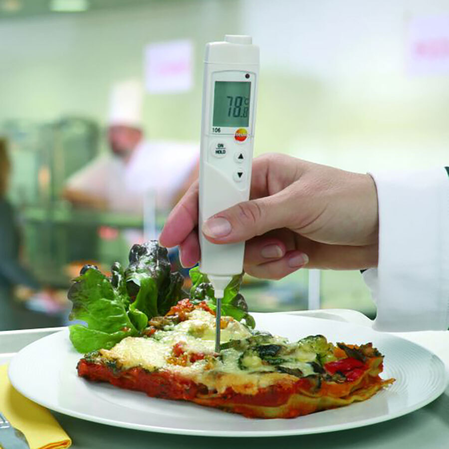 Testo 106 Penetration Food Thermometer Kit