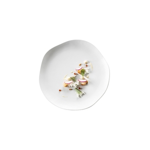 Pordamsa Gastro Porcelain Gloss White Round Plate 24cm