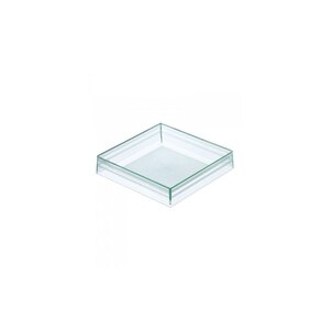 Comatec Bento Plate Stackable Square Sea Green 170x170x35mm Clear PS
