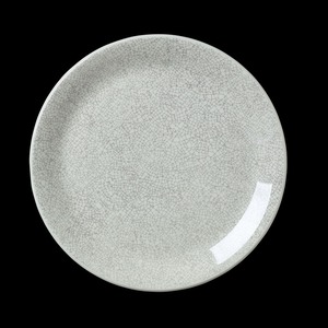 Steelite Ink Crackle Vitrified Porcelain Grey Round Coupe Plate 25.25cm