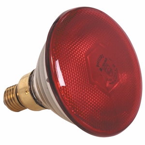 250 Watt Bulb - Red - for use with Heat Shade