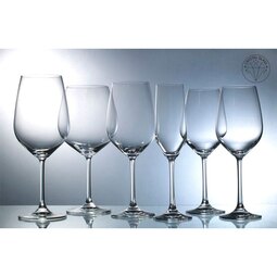 Glacial Coral Plus Crystal Red Wine Glass 50.2cl