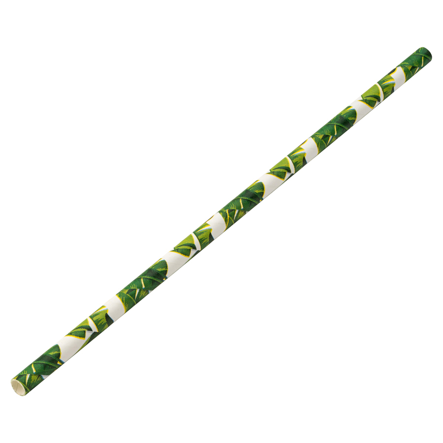 Paper Tropical Straw 8 Inch 20cm Box of 250