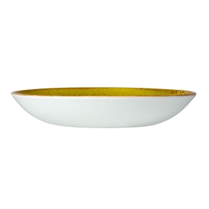 Steelite Craft Vitrified Porcelain Apple Green Round Coupe Bowl 25.5cm