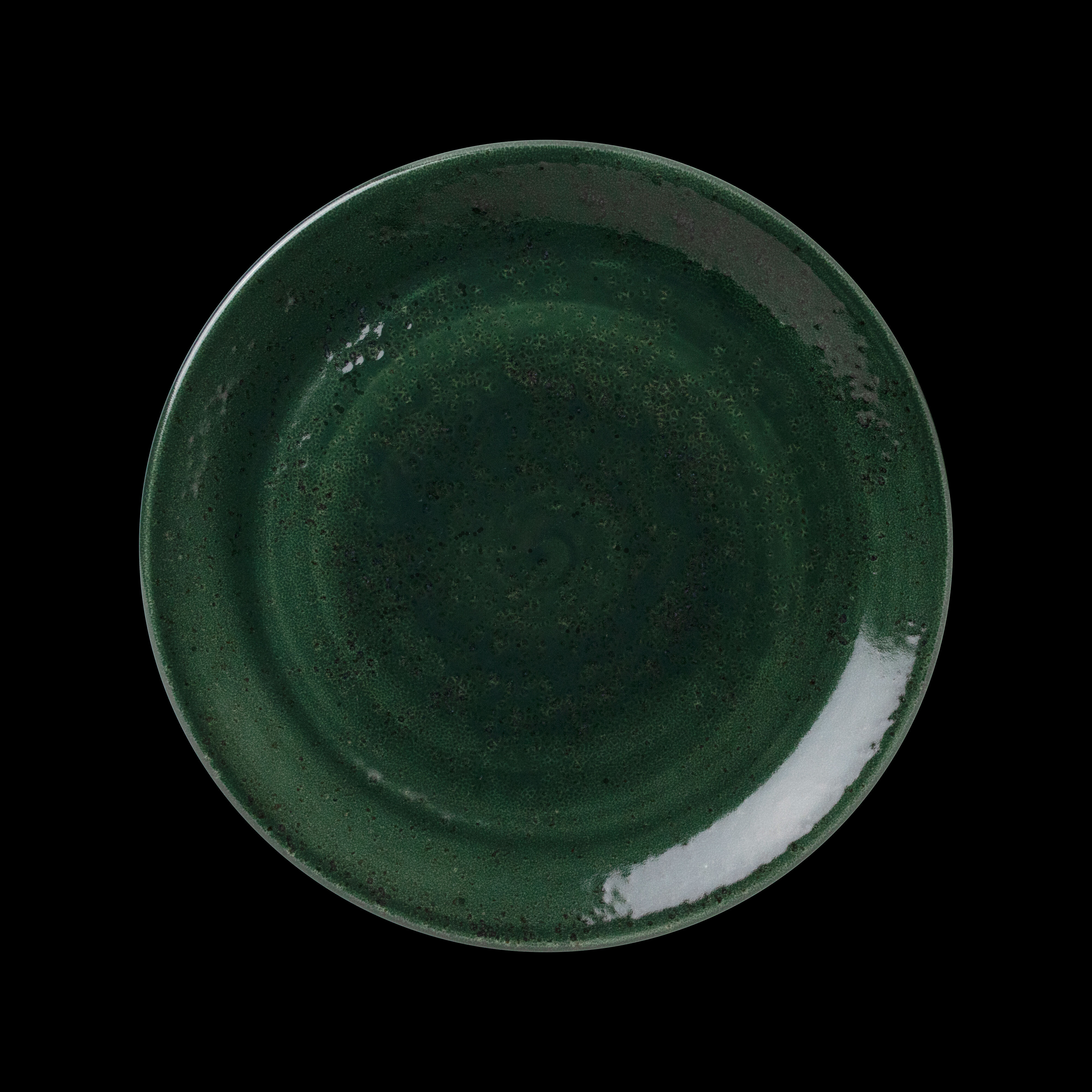 Steelite Vesuvius Vitrified Porcelain Burnt Emerald Round Coupe Plate 25.25cm