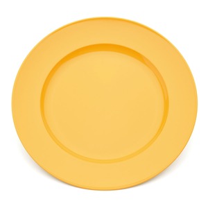 Harfield Polycarbonate Yellow Large Round Wide Rim Dinner Plate 24cm