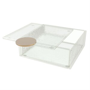 My Glass Studio Bento Dinner Plates Clear Transparent Square Box With Lid 14x5.5cm