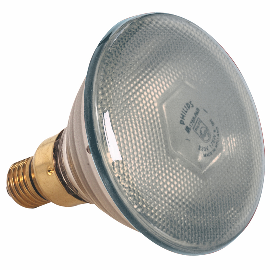 250 Watt Bulb - White - for use with Pujadas Heat Shade