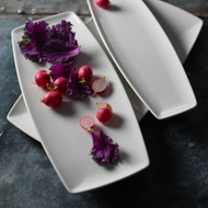 Neo Collection By Dudson