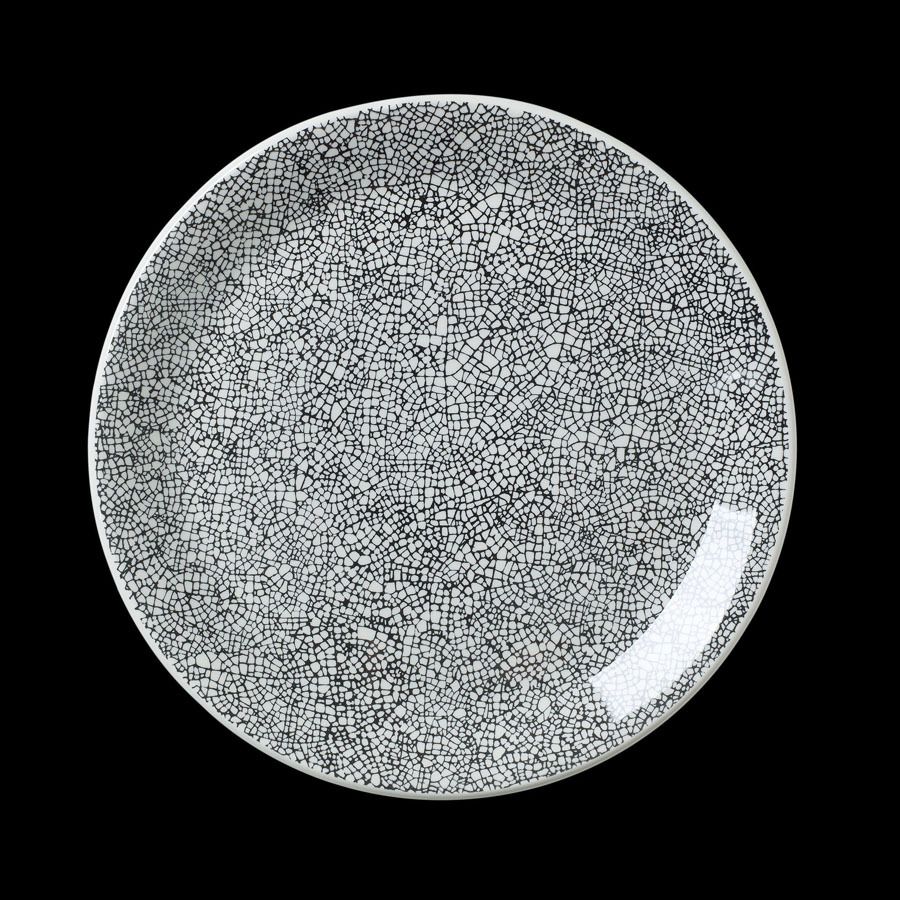 Steelite Ink Crackle Vitrified Porcelain Black Round Coupe Plate 25.25cm