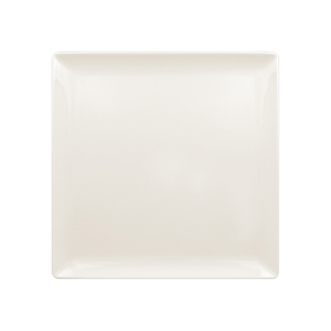 Nano Square Plate 25cms