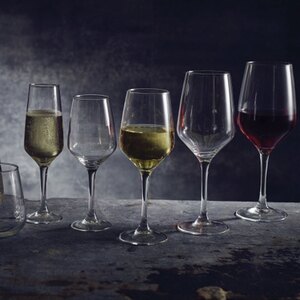 FT Mencia Wine Glass 44cl 15.5oz