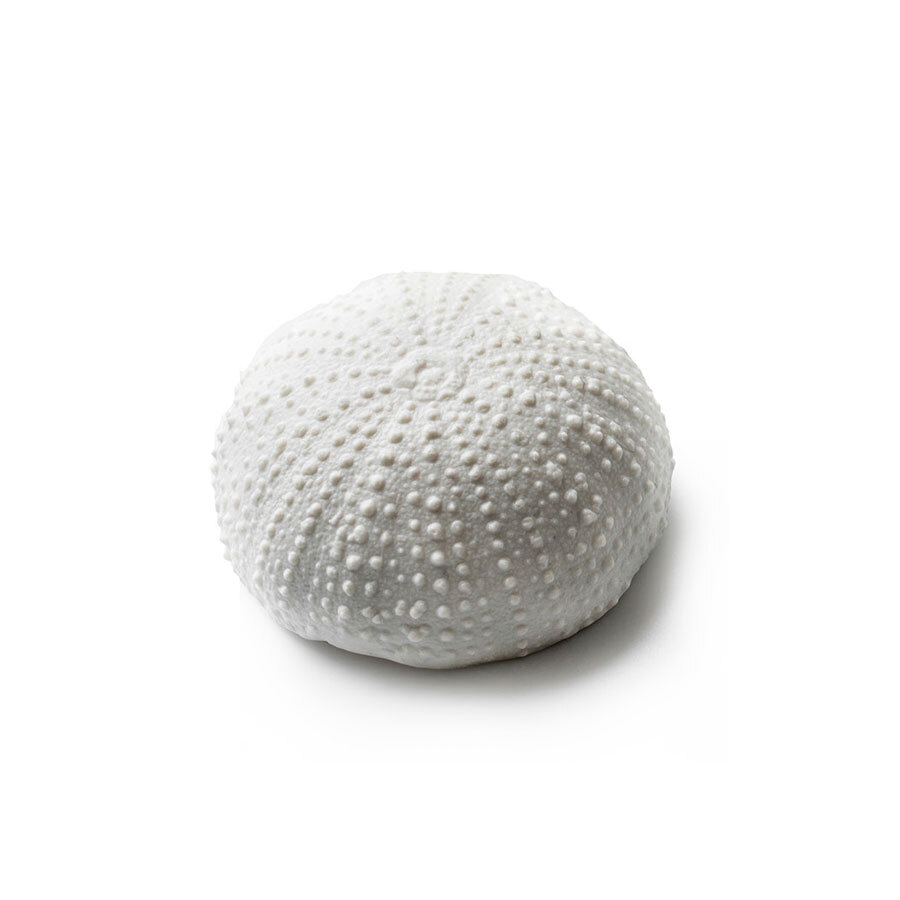 Pordamsa Mediterranean Textures Porcelain Gloss/Matte White Sea Urchin Bowl 5.5cm 25ml